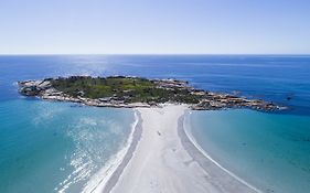 Diamond Island Resort&Bicheno Penguin Show