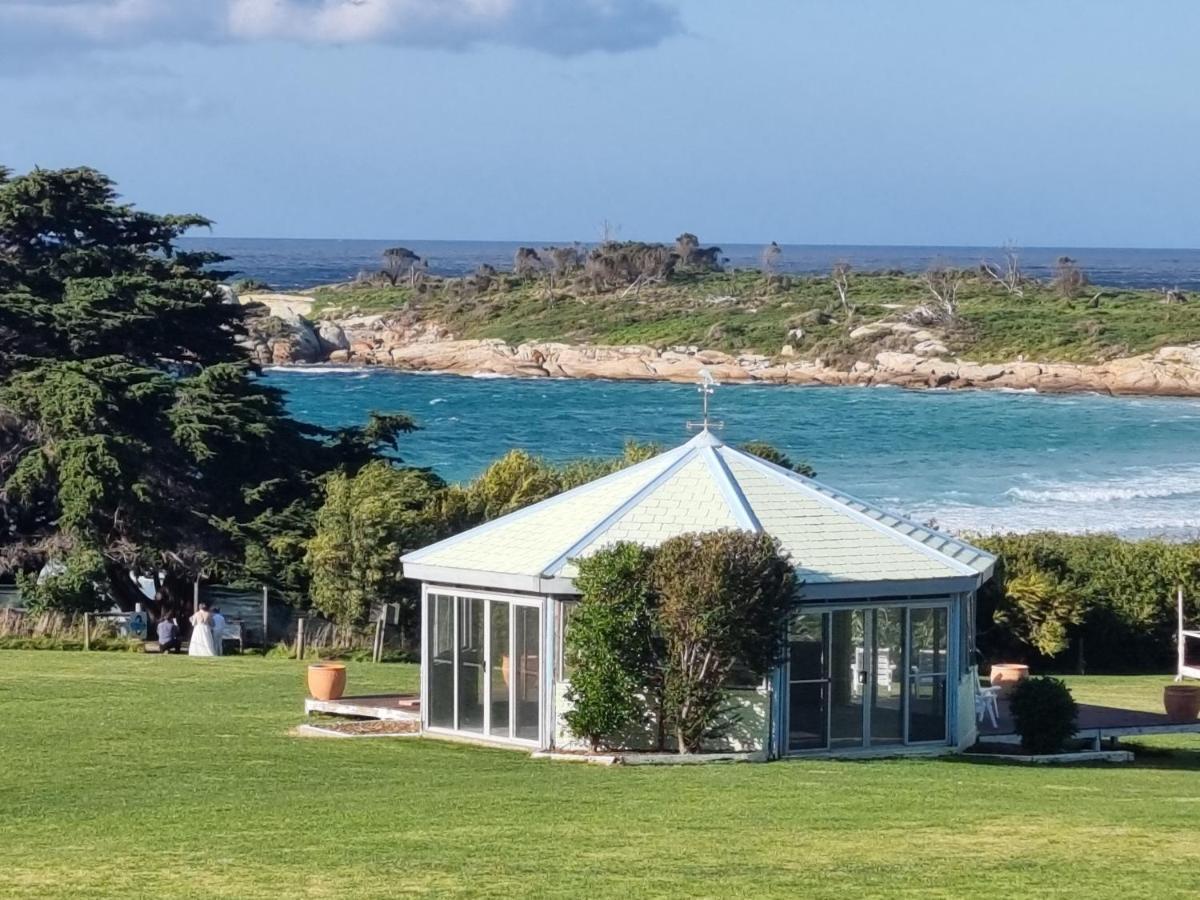 Diamond Island Resort&Bicheno Penguin Show Exterior foto