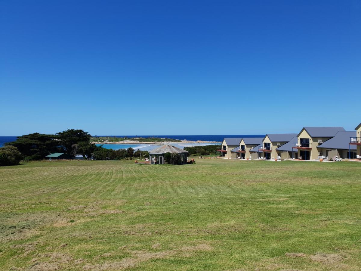 Diamond Island Resort&Bicheno Penguin Show Exterior foto